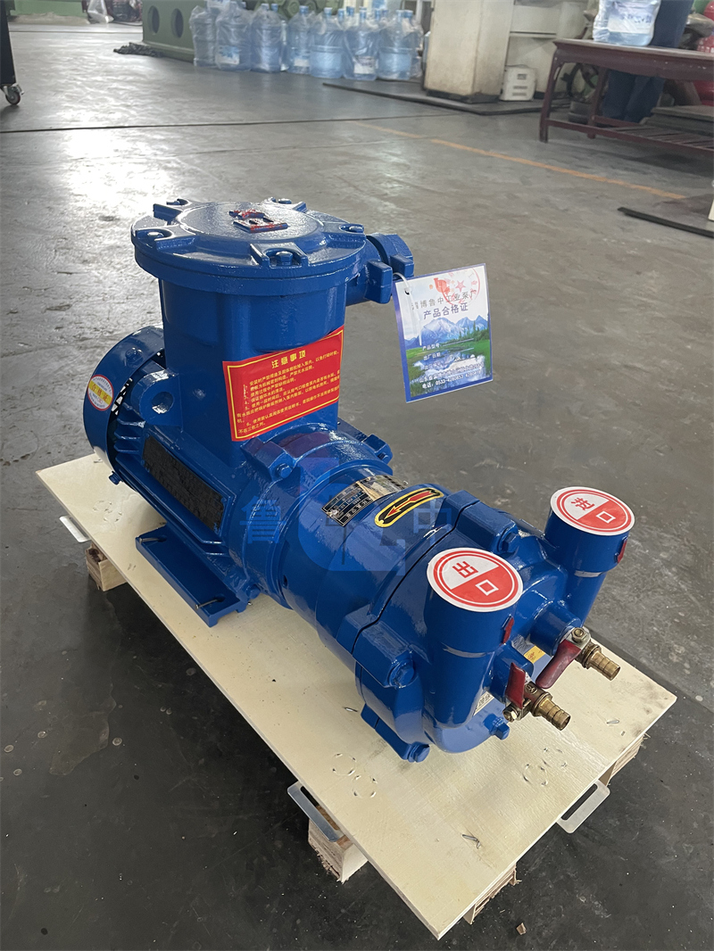 Liquid Ring Vacuum Pump and Compressor