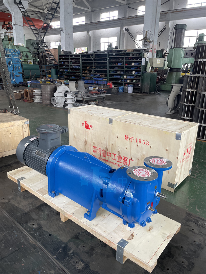 Liquid Ring Vacuum Pump and Compressor