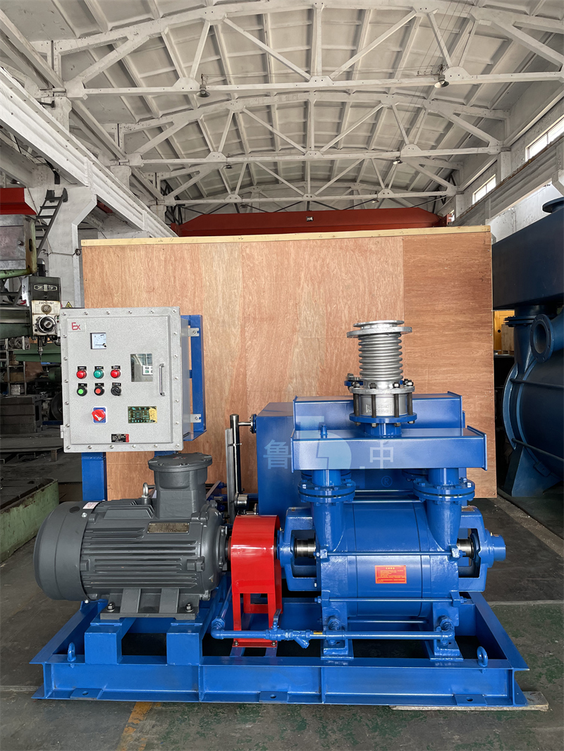 Water Ring Vacuum Pump