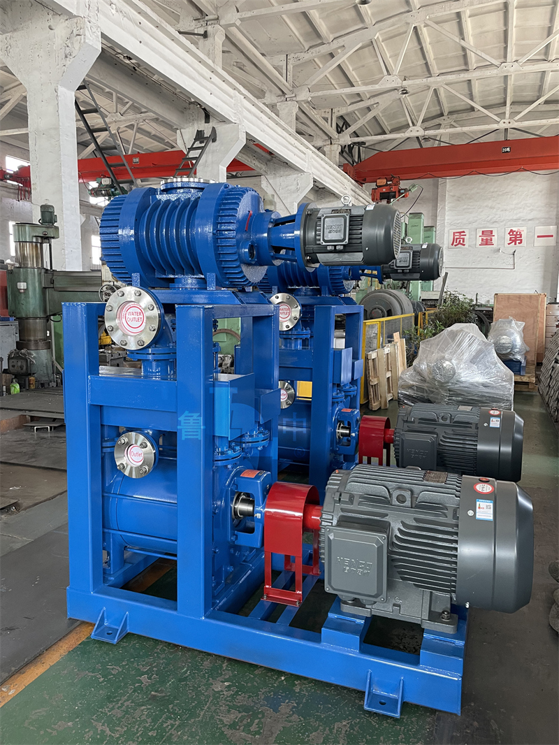 Roots-Water Ring Vacuum Unit